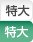 特大